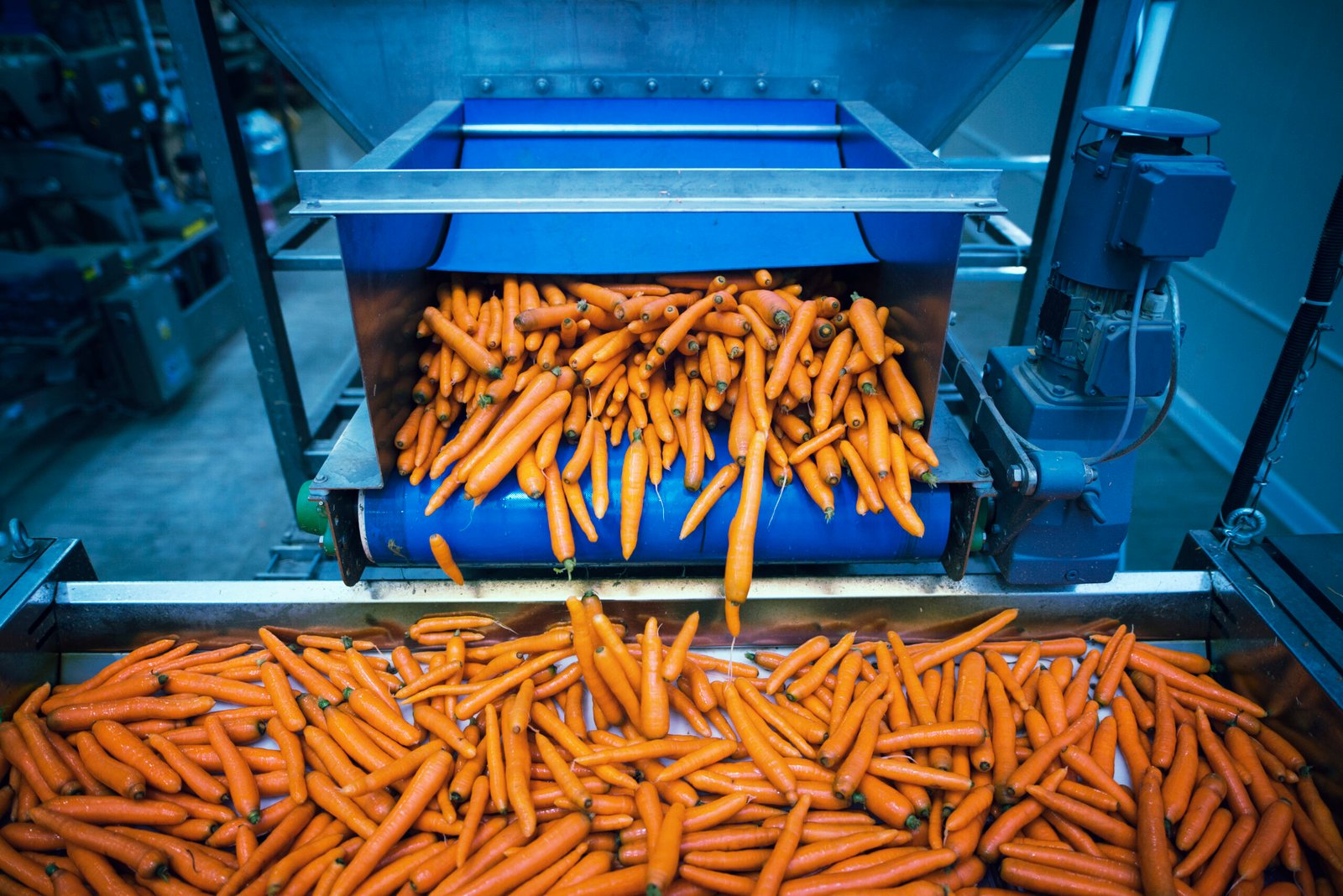 Export Food Processing Quality Inspection and Cost Control